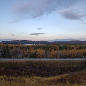 Meet your Posher, Randal